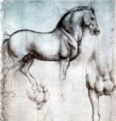 Da Vinci - Study of Horses